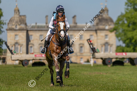 Houghton International