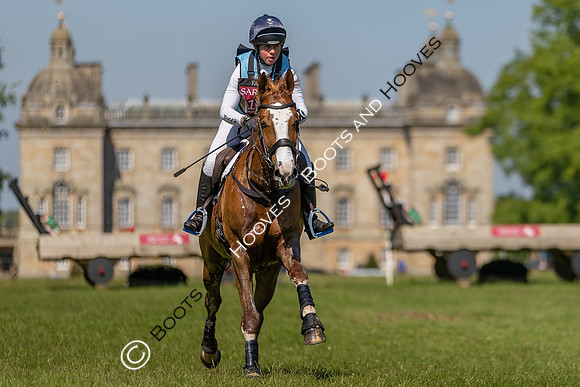 Houghton International