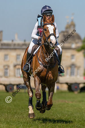 Houghton International