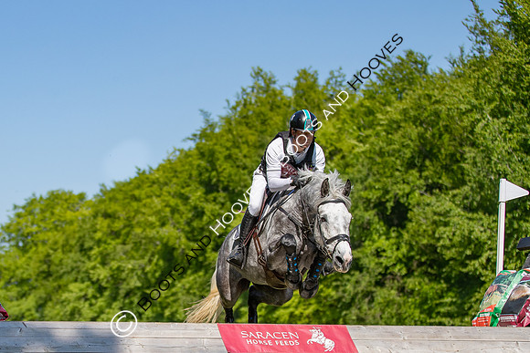Houghton International