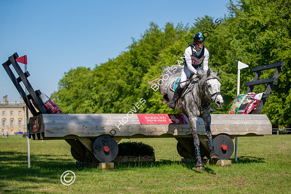 Houghton International