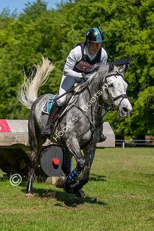 Houghton International
