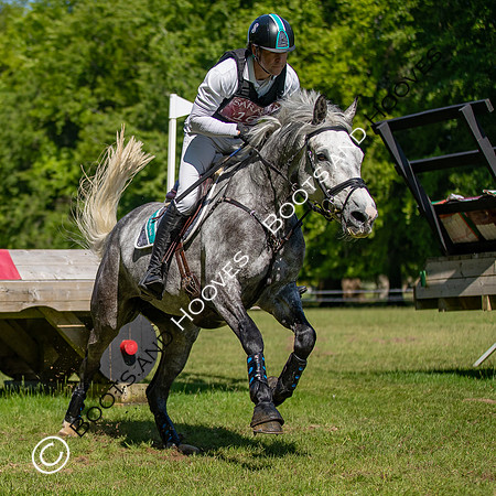 Houghton International