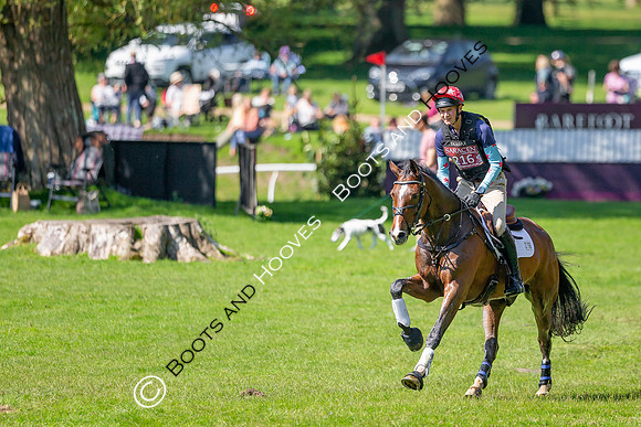 Houghton International