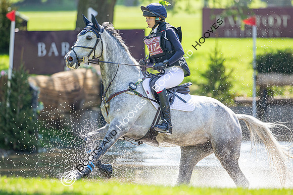 Houghton International