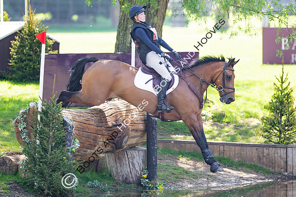 Houghton International