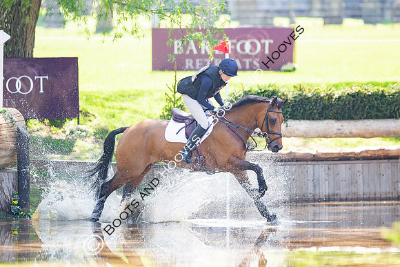 Houghton International