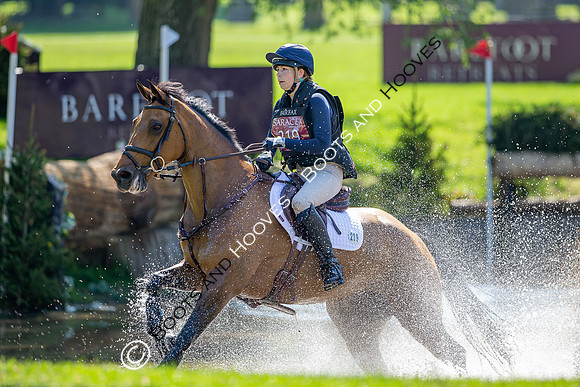 Houghton International