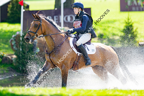 Houghton International