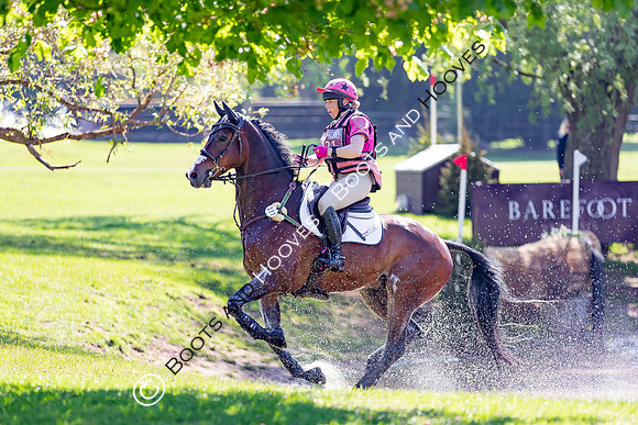 Houghton International