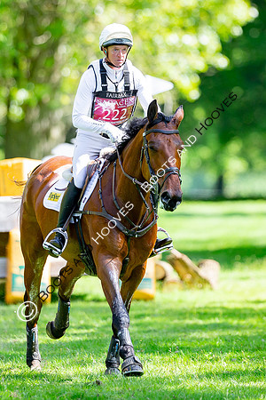Houghton International