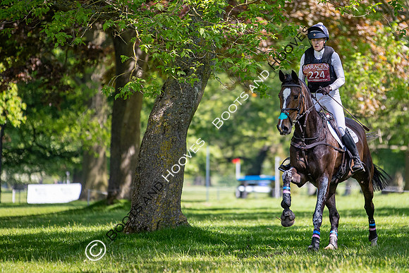 Houghton International