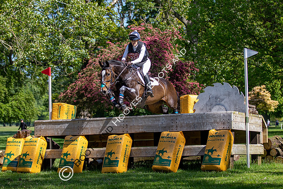 Houghton International
