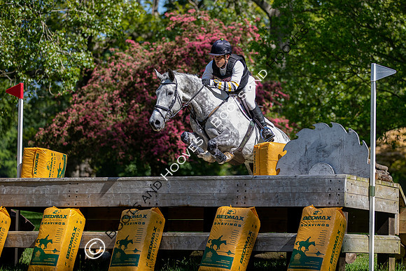 Houghton International