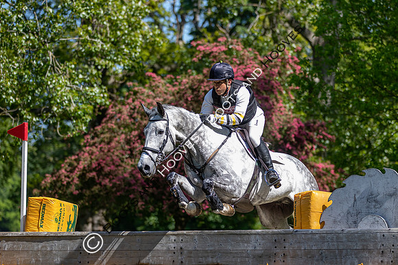 Houghton International