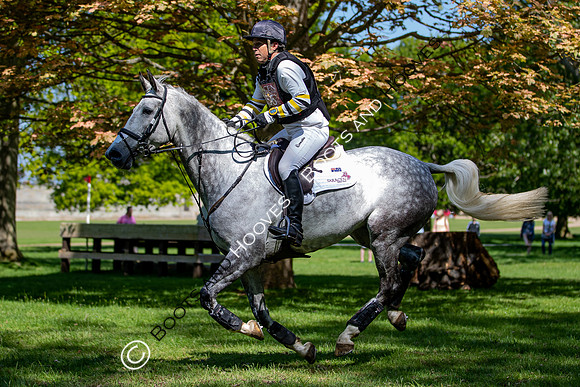 Houghton International