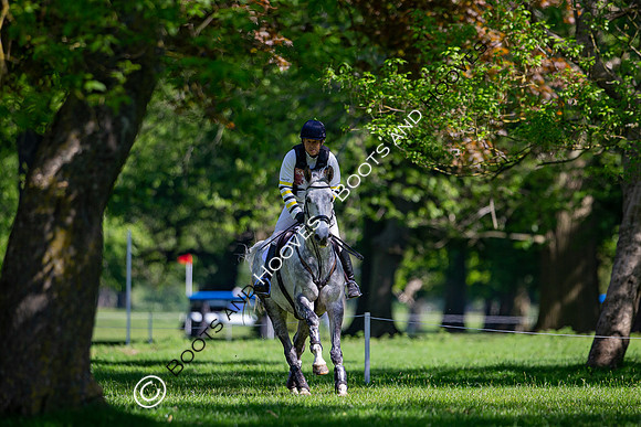 Houghton International