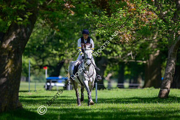 Houghton International