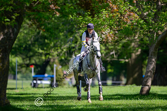 Houghton International