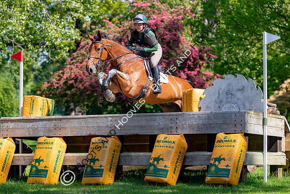 Houghton International