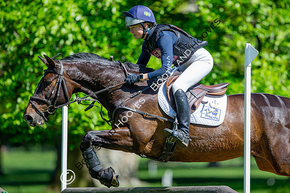 Houghton International