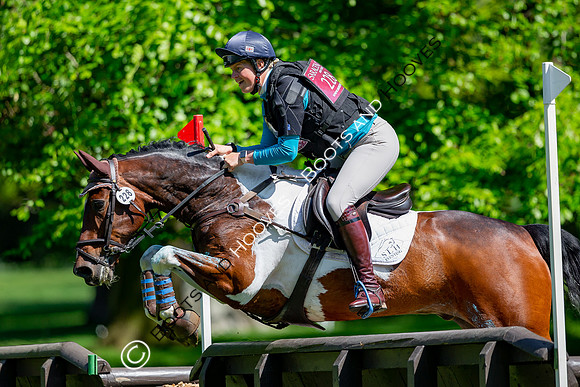 Houghton International