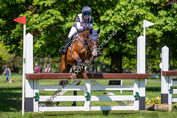 Houghton International