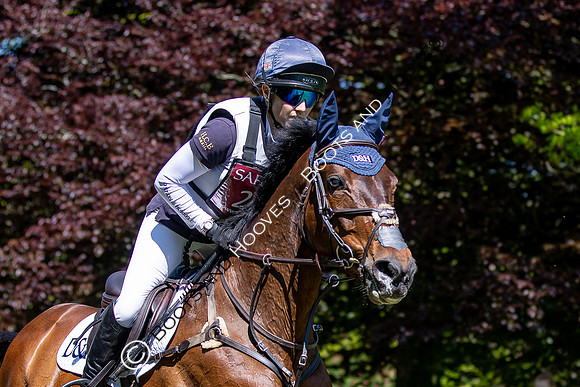 Houghton International