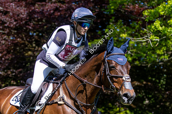 Houghton International