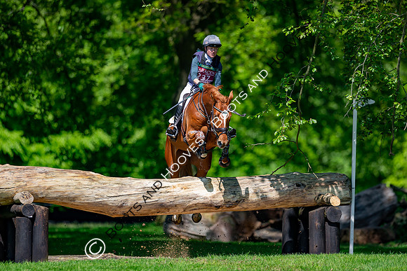 Houghton International