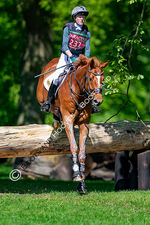Houghton International