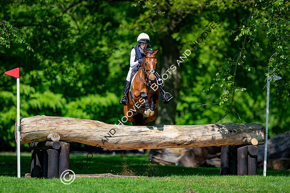 Houghton International