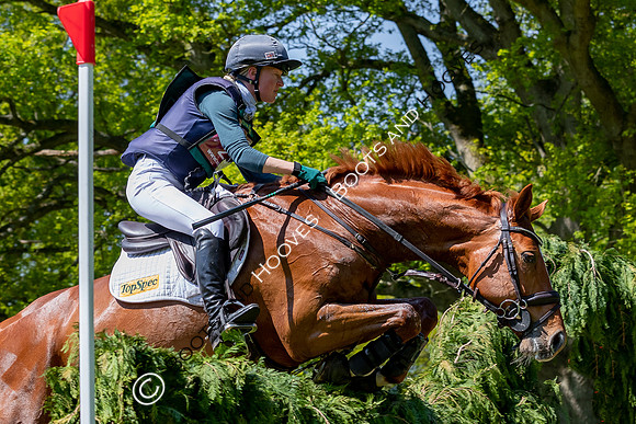 Houghton International