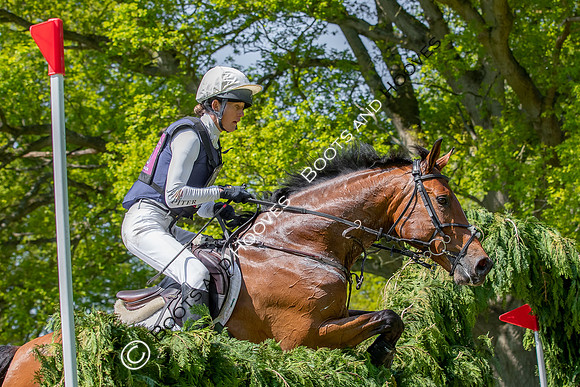 Houghton International
