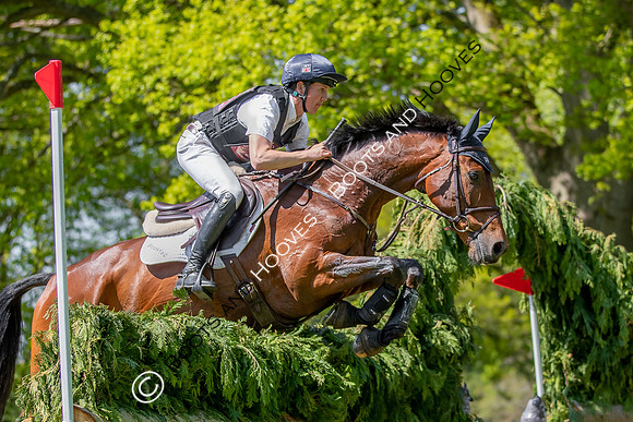 Houghton International