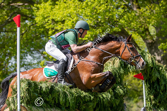Houghton International