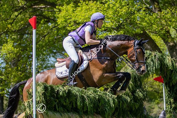 Houghton International