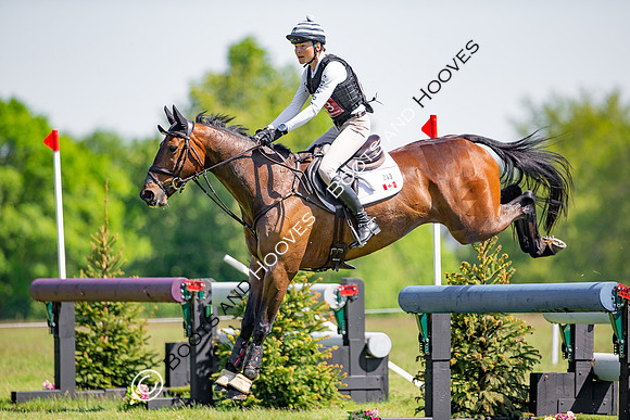 Houghton International