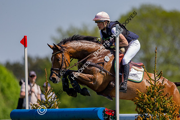 Houghton International