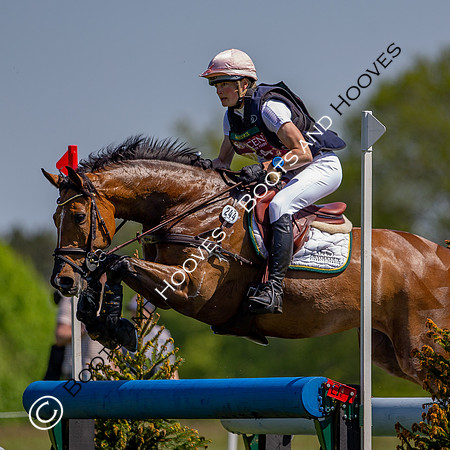 Houghton International