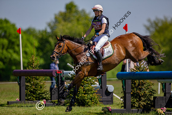 Houghton International