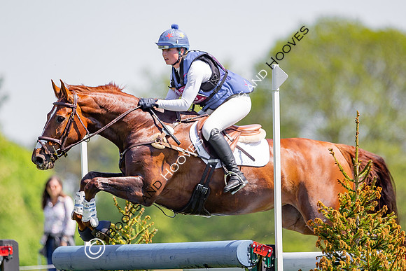 Houghton International