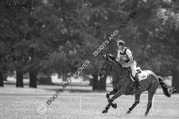 Houghton International