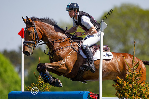 Houghton International