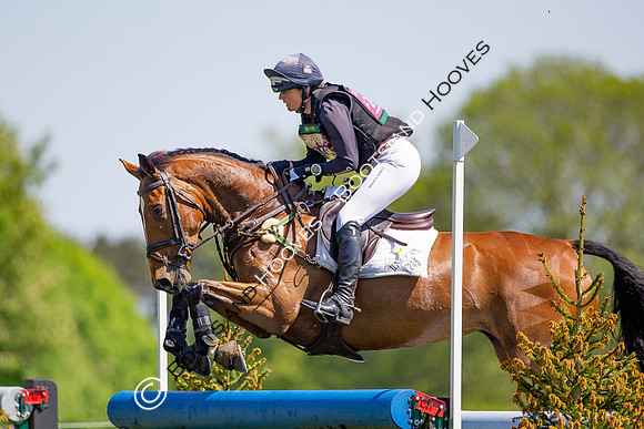 Houghton International