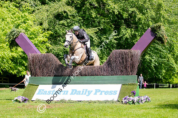 Houghton International