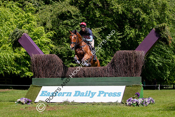 Houghton International