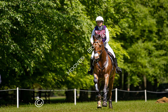 Houghton International