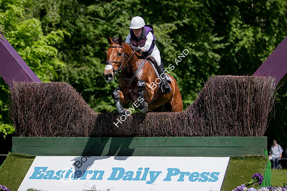 Houghton International