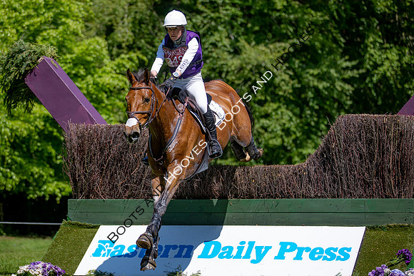 Houghton International